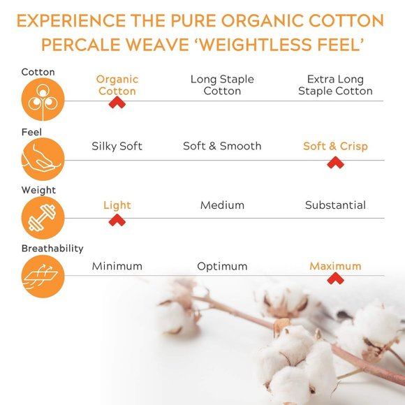 NEW - 100% Organic Cotton 4 Piece Sheet Set - Ivory - Picture 7 of 10